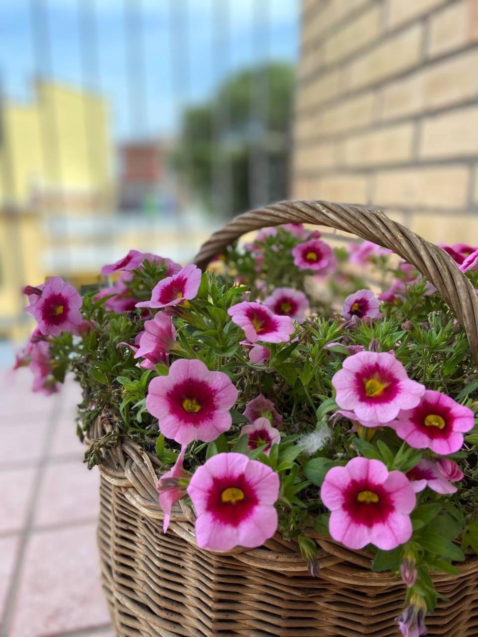 Casa Myrina Daire Scafati Dış mekan fotoğraf